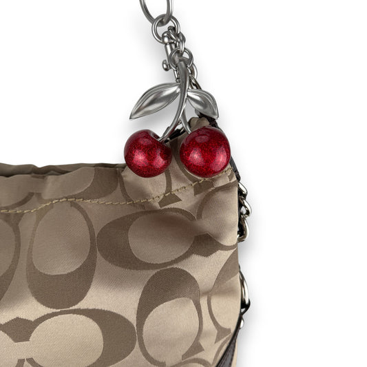 COACH SIGNATURE CARLY HOBO BAG