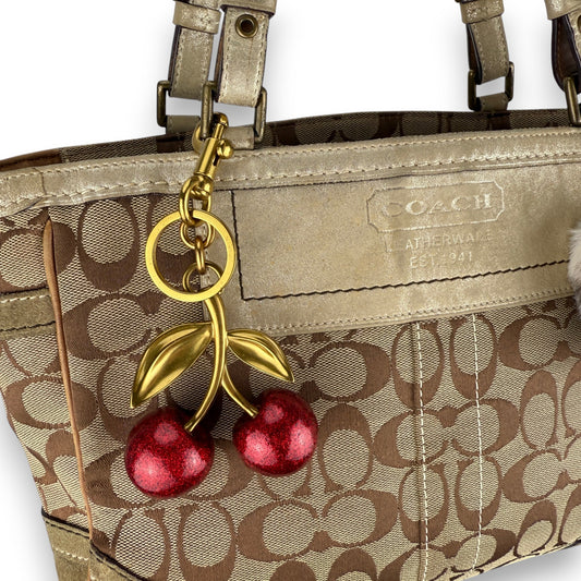 COACH SIGNATURE SUEDE BAG