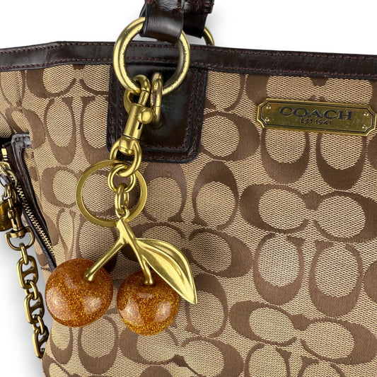 COACH SIGNATURE ZIP GALLERY TOTE BAG