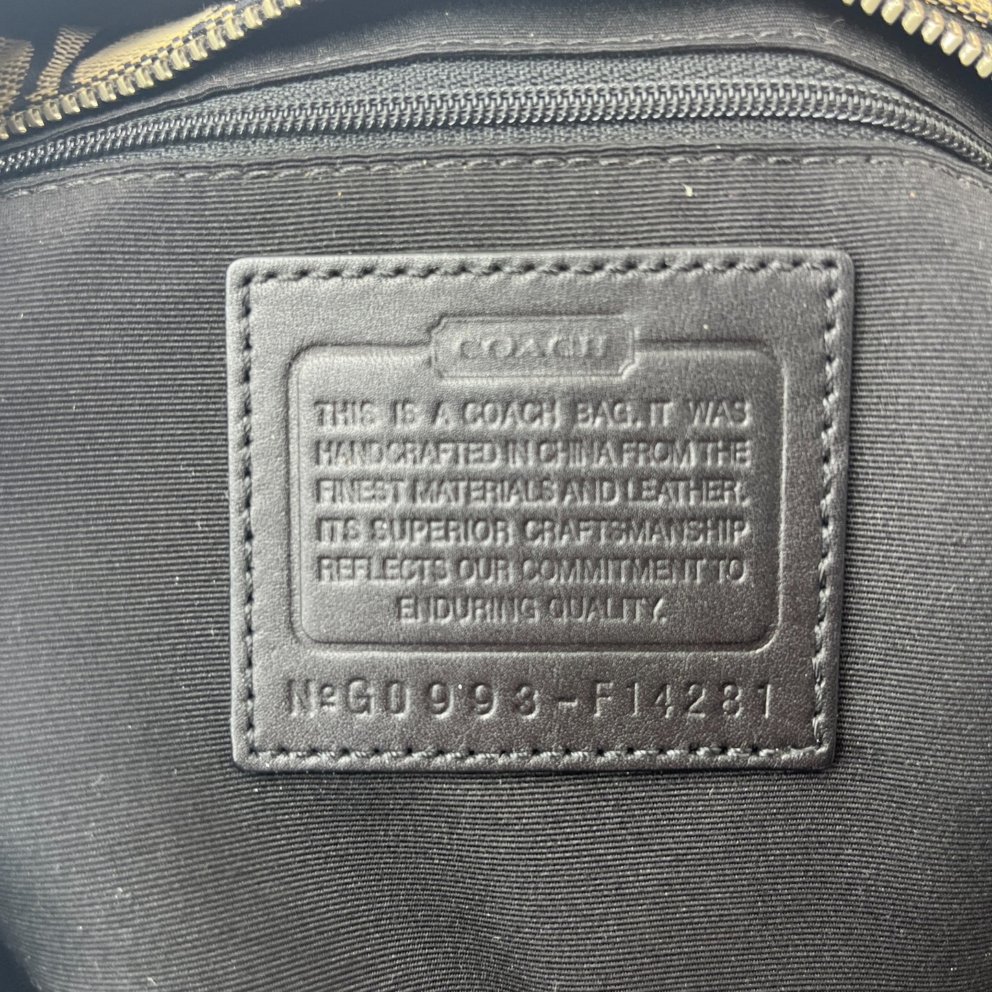 COACH SIGNATURE JACQUARD STRIPE BAG (LARGE)