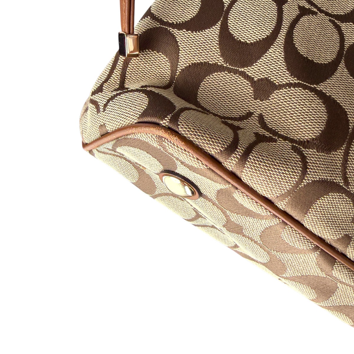 COACH SIGNATURE STRIPE SNAKE DRAWSTRING CARRYALL