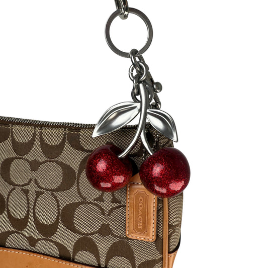 COACH SIGNATURE DEMI POUCH