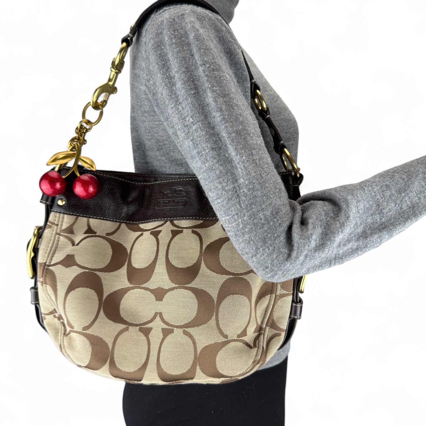 COACH SIGNATURE ZOE  BAG