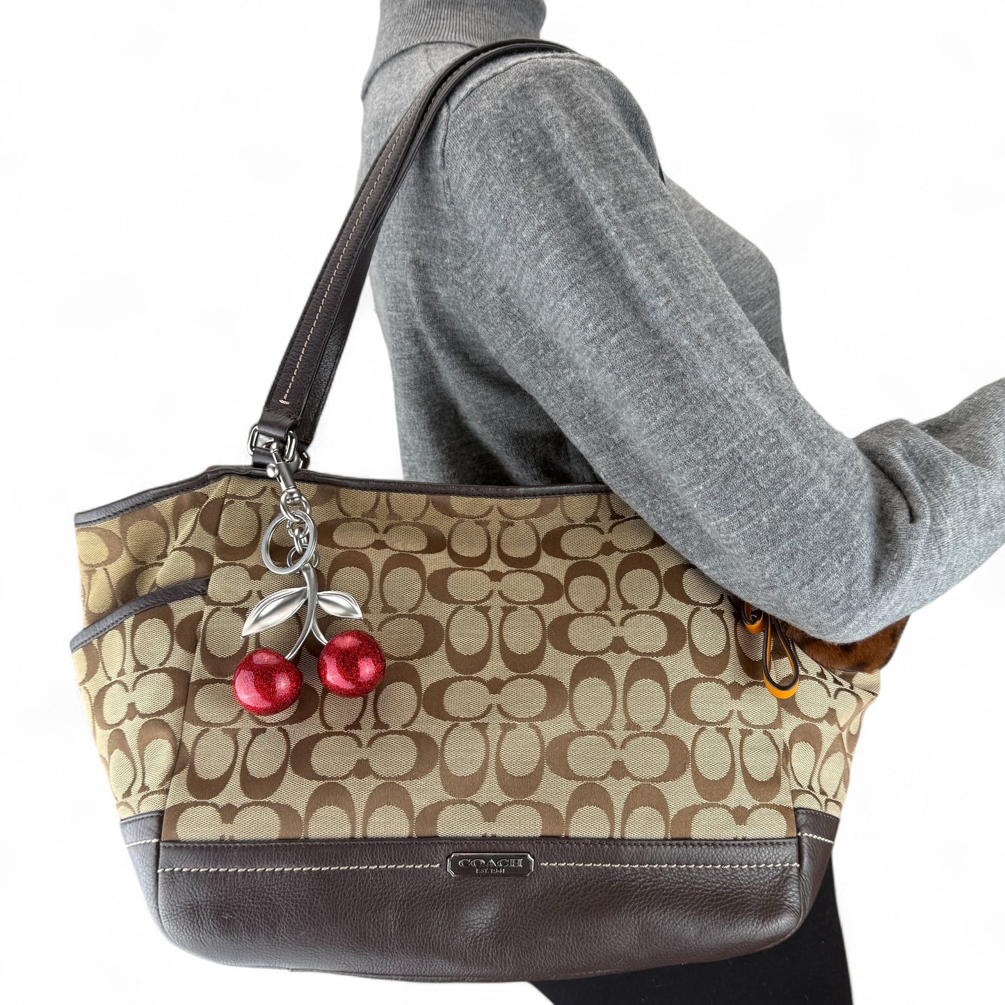 COACH SIGNATURE CANVAS SHOPPER BAG