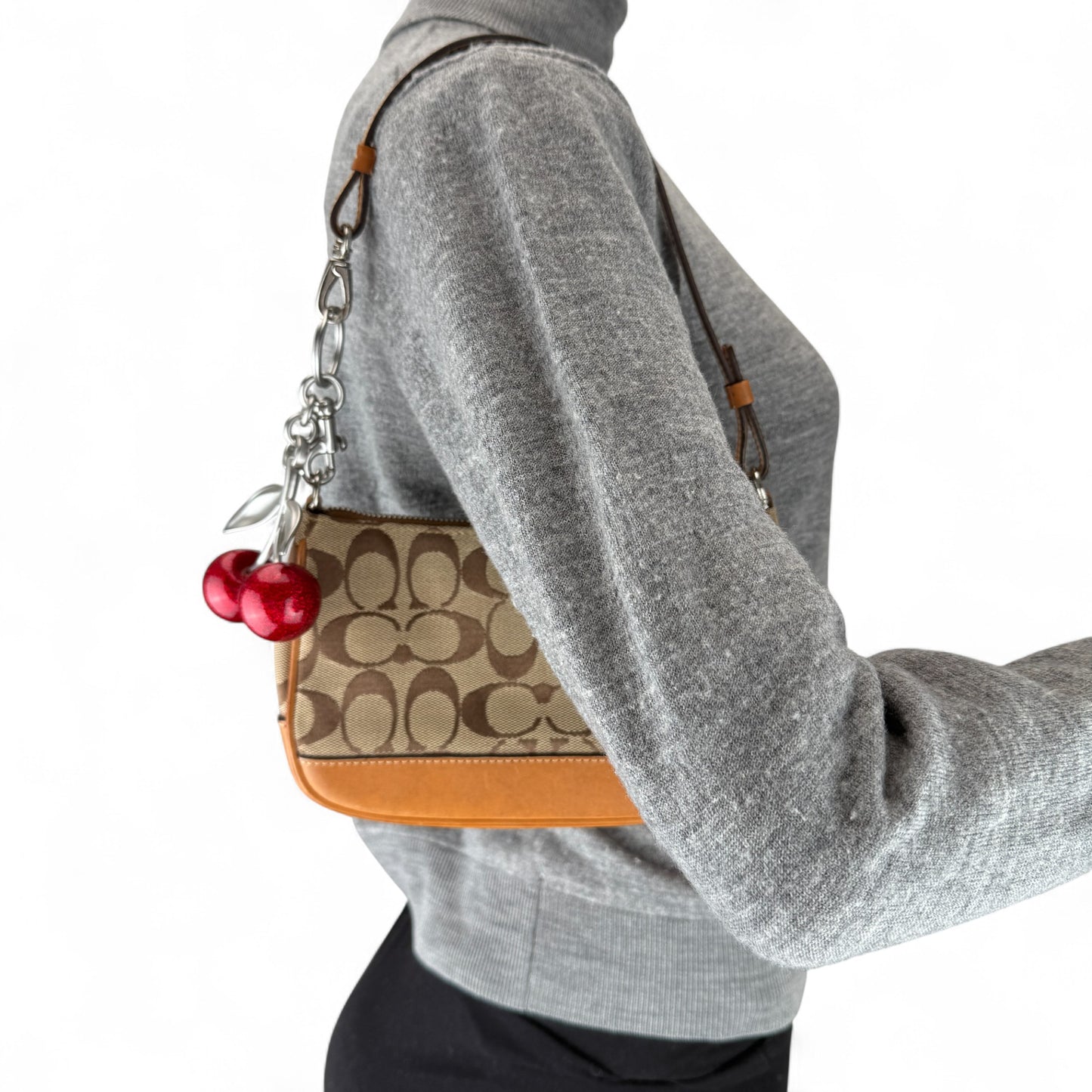 COACH SIGNATURE BEIGE DEMI POUCH