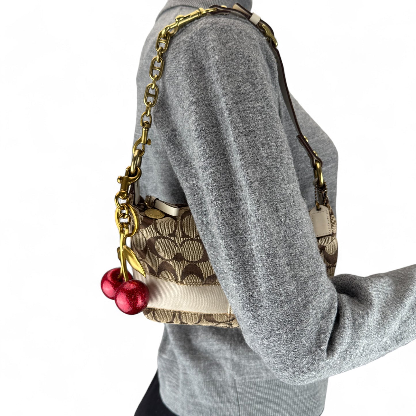 COACH WHITE STRIPE MINI HOBO BAG