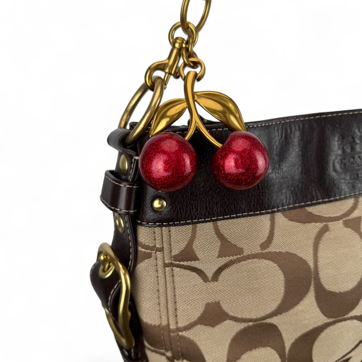 COACH SIGNATURE ZOE  BAG