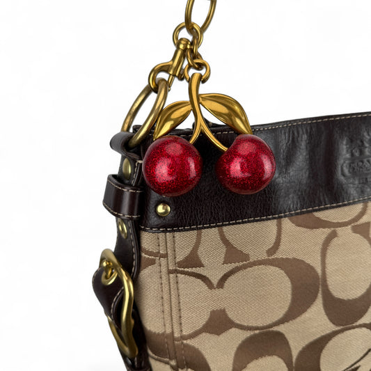 COACH SIGNATURE ZOE  BAG