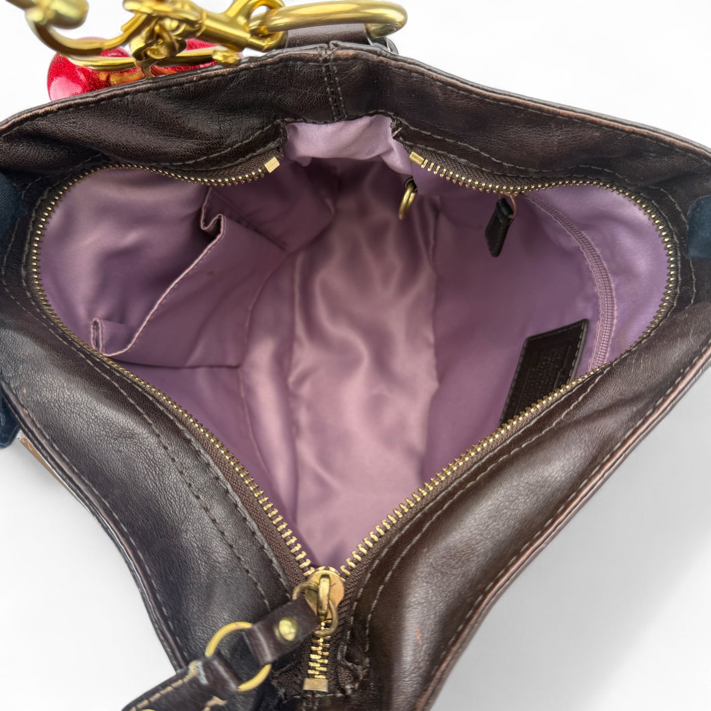 COACH SIGNATURE ZOE  BAG