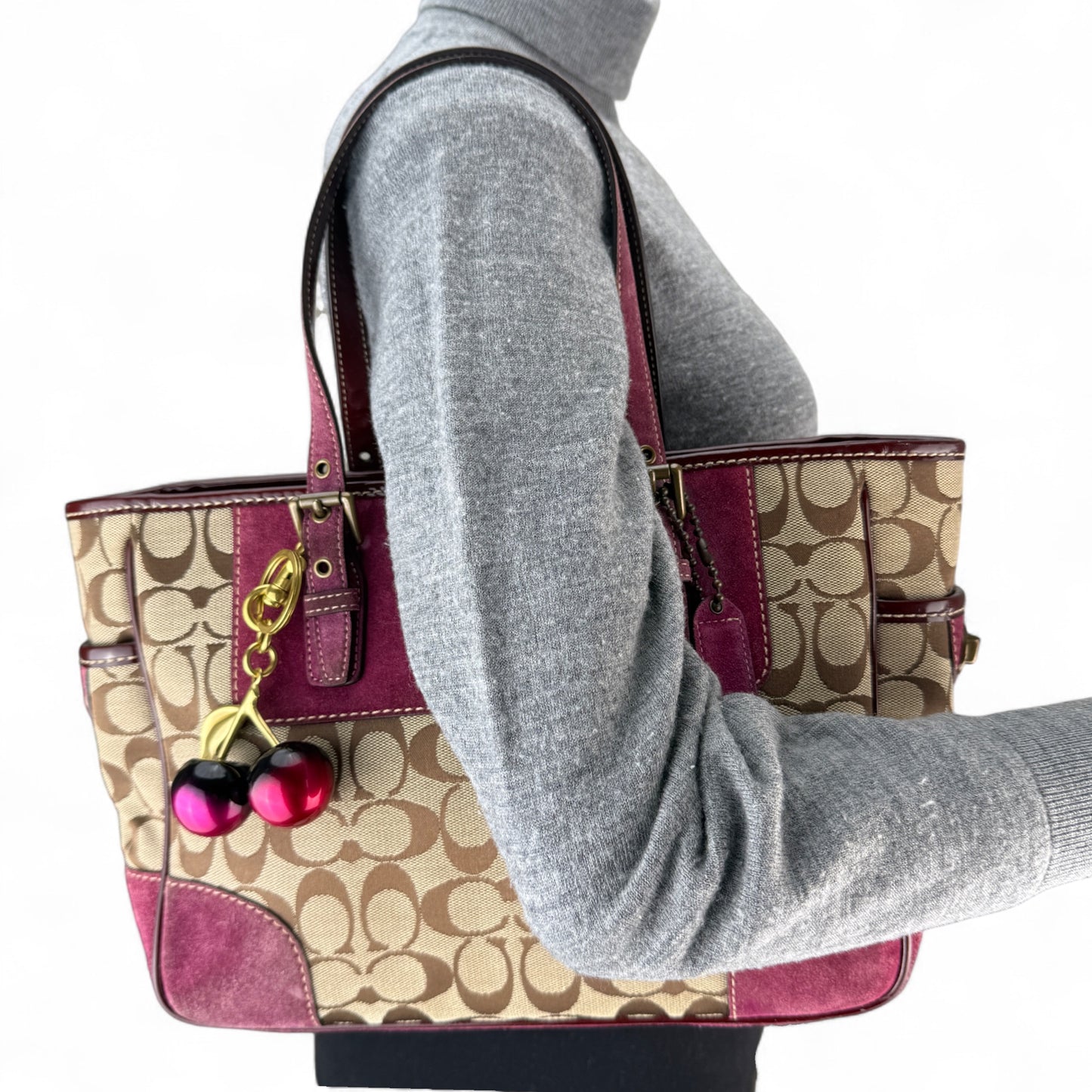 COACH SIGNATURE JACQUARD STRIPE BAG (LARGE)