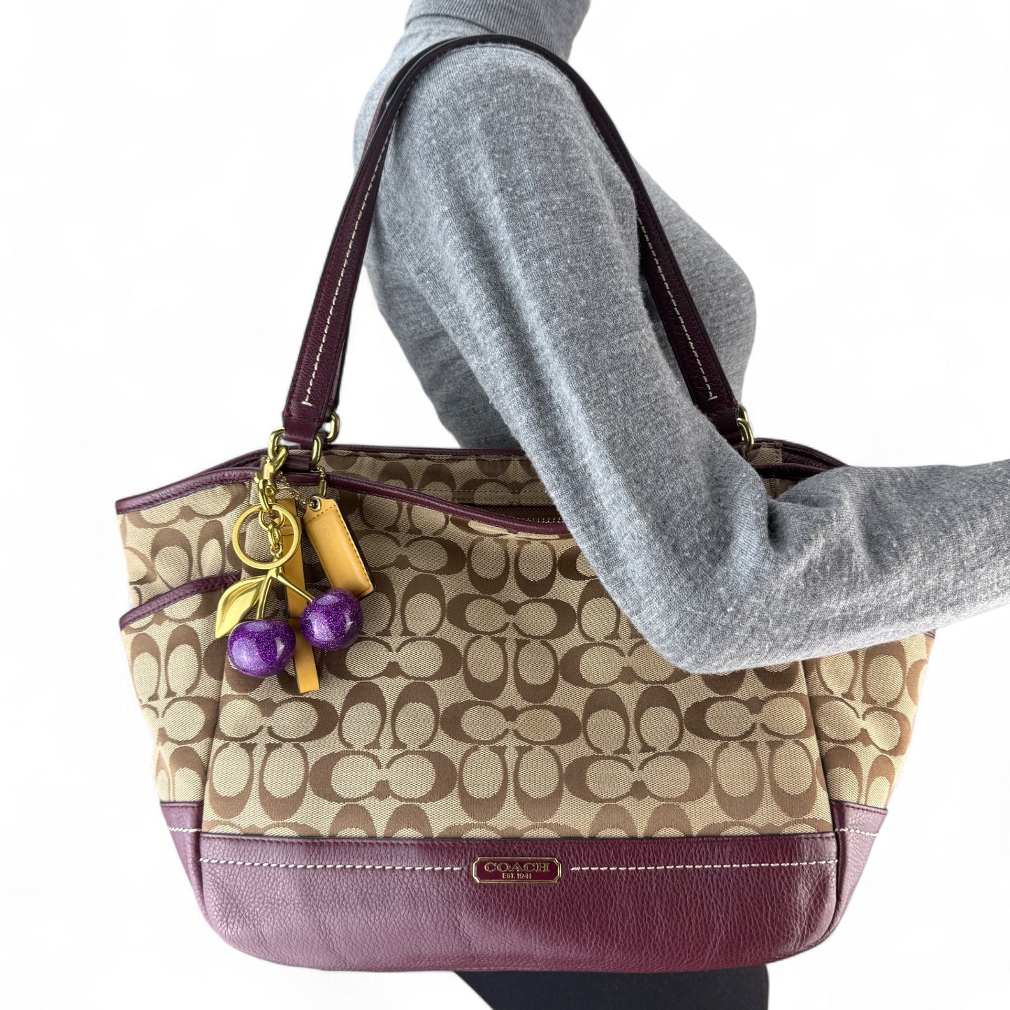 COACH SOHO PLEATED SIGNATURE TOTE