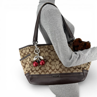 COACH SIGNATURE SHOPPER BAG BROWN