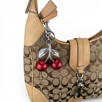 COACH HAMPTONS HOBO SIGNATURE BAG