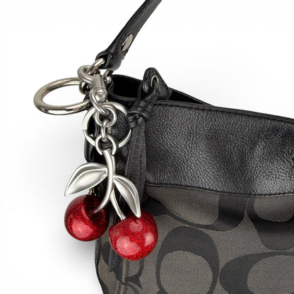 COACH SIGNATURE ZOE SHOULDER BAG