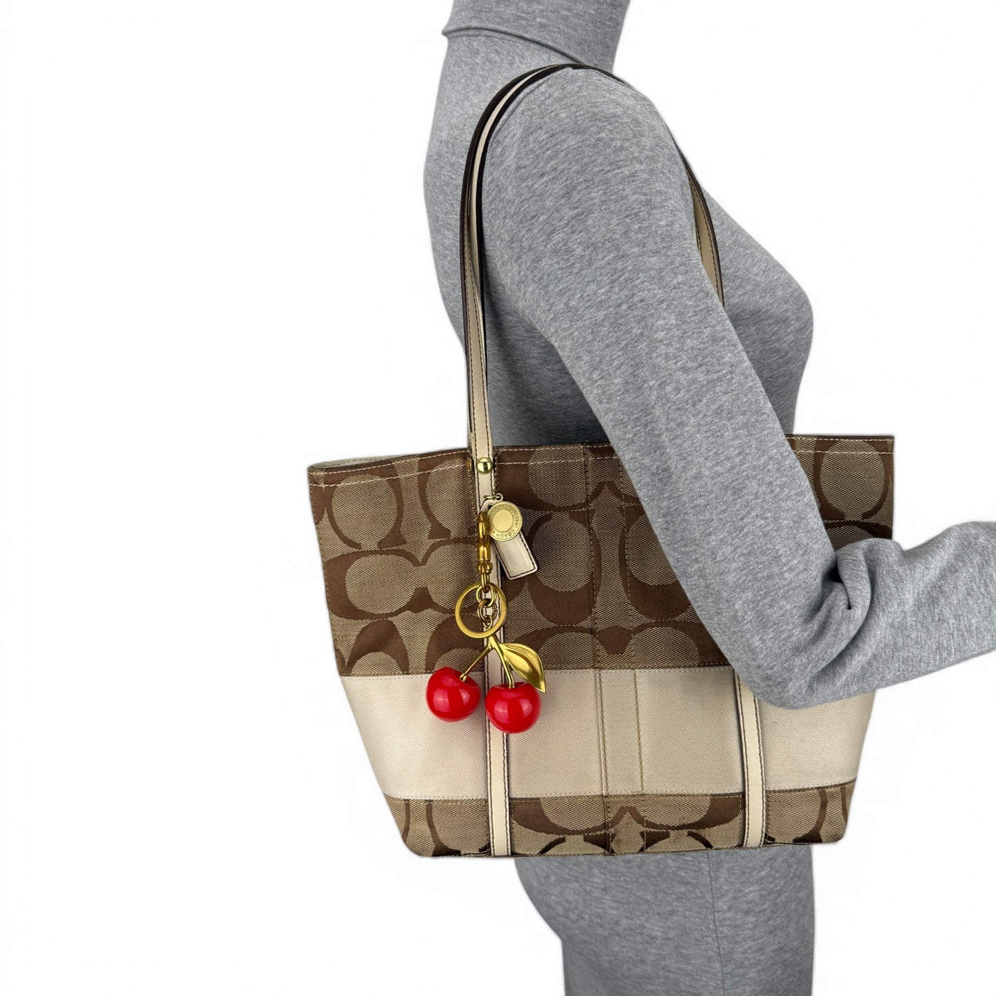 COACH SIGNATURE STRIPE TOTE BAG