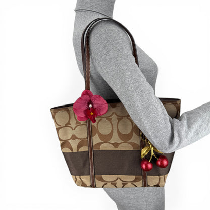 COACH SIGNATURE STRIPE TOTE BAG