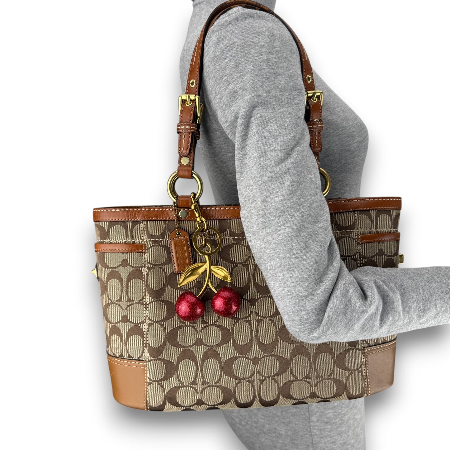COACH SIGNATURE GALLERY TOTE BAG