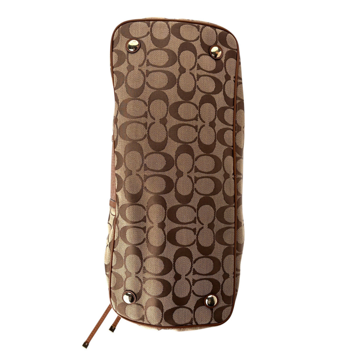 COACH SIGNATURE STRIPE SNAKE DRAWSTRING CARRYALL