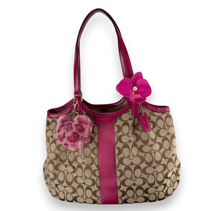 COACH SIGNATURE DEVIN STRIPE BAG