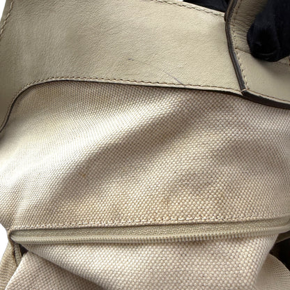 COACH SIGNATURE STRIPE DEMI CROSSBODY BAG
