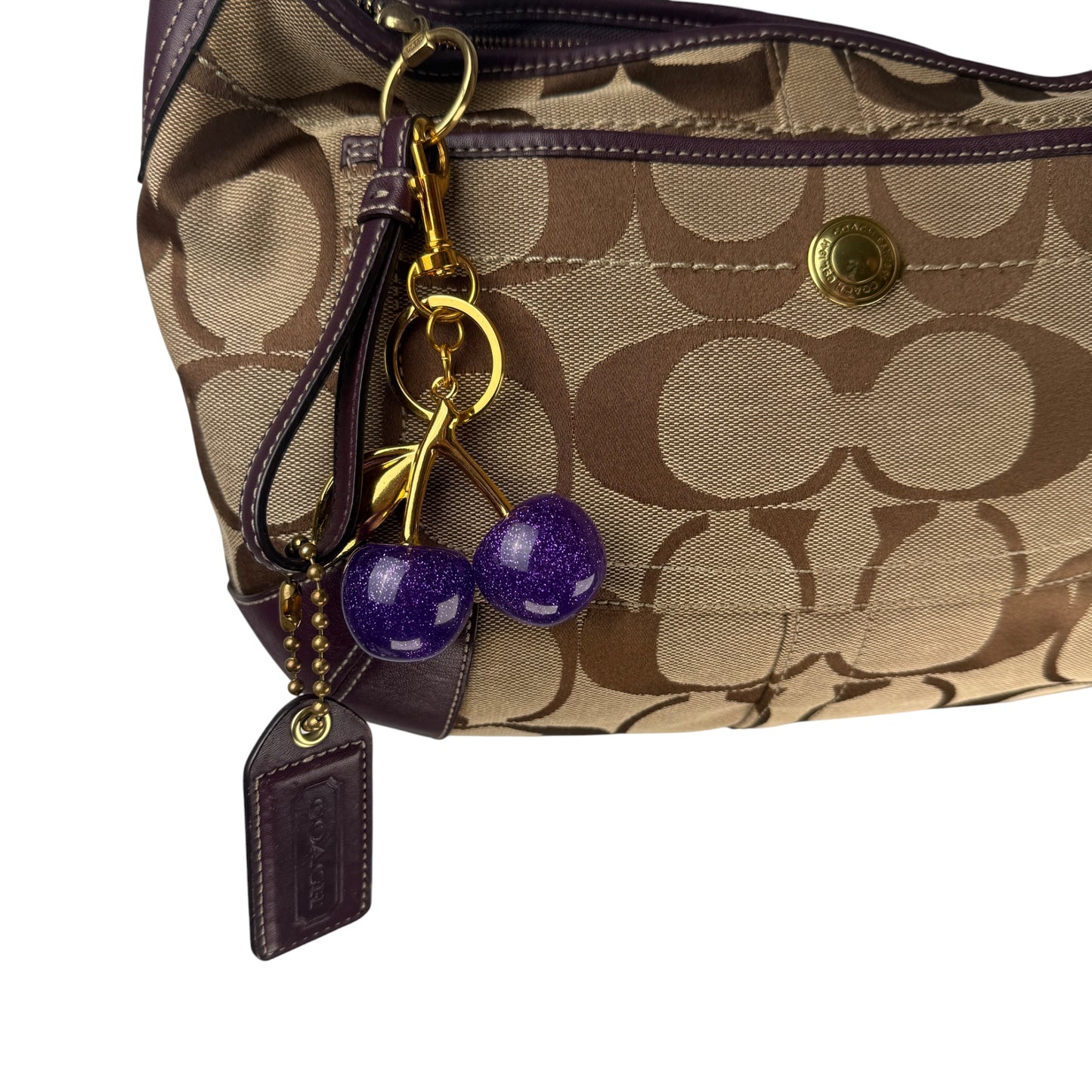 COACH SIGNATURE ERGO HOBO BAG