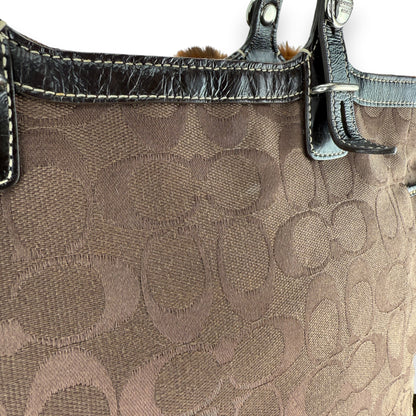 COACH SIGNATURE JACQUARD STRIPE BAG (LARGE) 