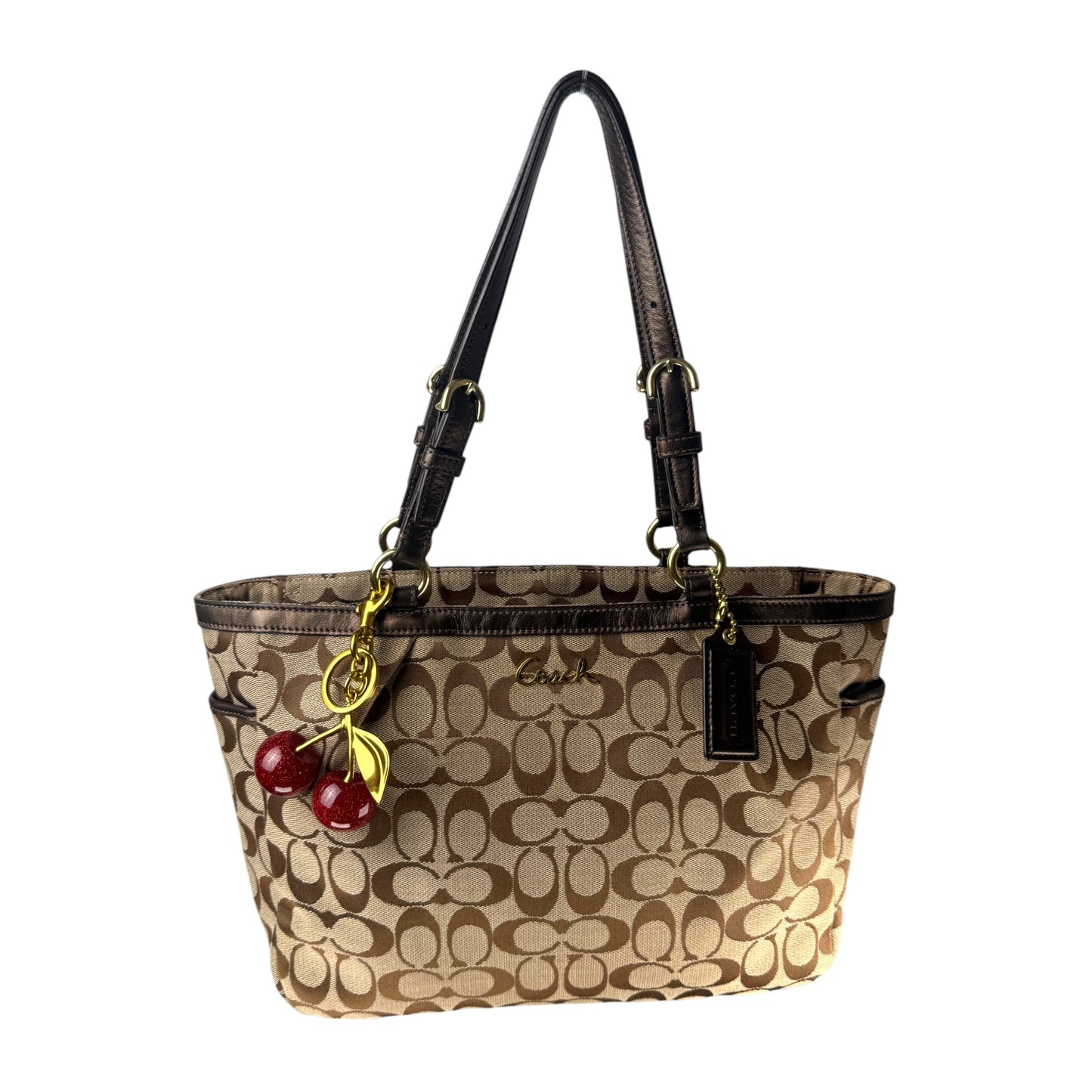COACH SIGNATURE GALLERY TOTE BAG