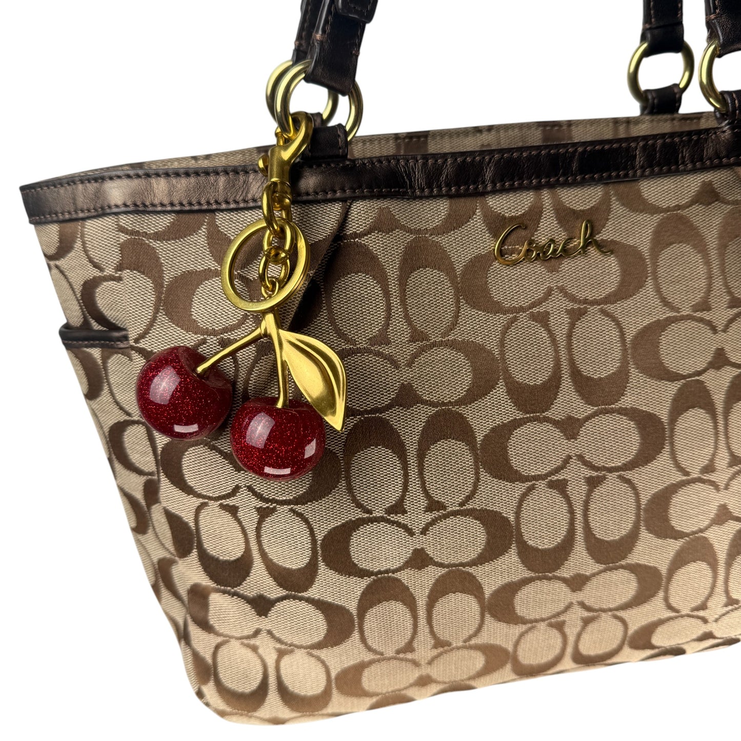COACH SIGNATURE GALLERY TOTE BAG