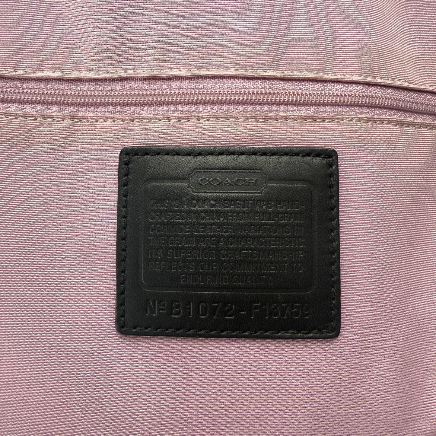 COACH SIGNATURE JACQUARD STRIPE BAG (LARGE) 