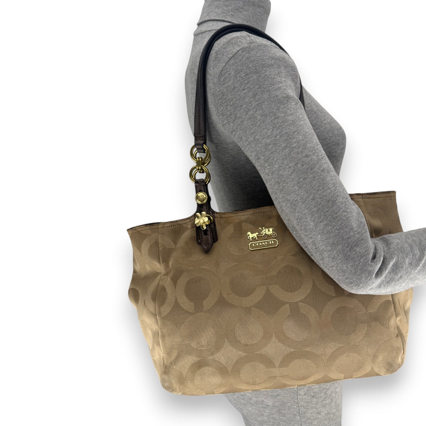 COACH SIGNATURE JACQUARD STRIPE BAG (LARGE) 