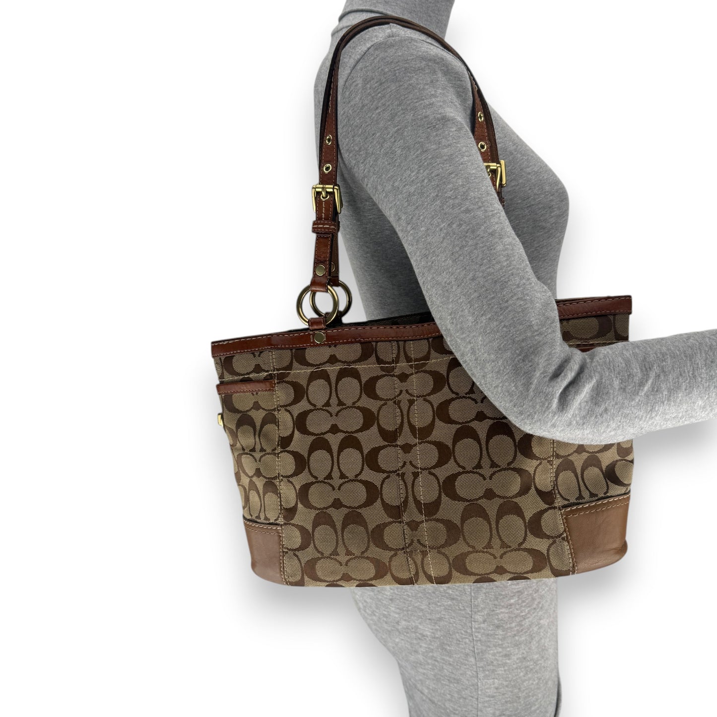 COACH SIGNATURE JACQUARD STRIPE BAG (LARGE) 