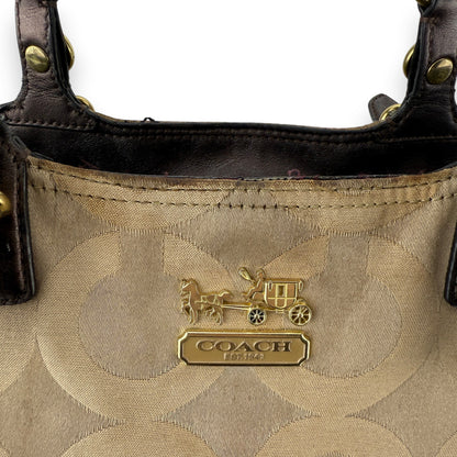 COACH SIGNATURE JACQUARD STRIPE BAG (LARGE) 