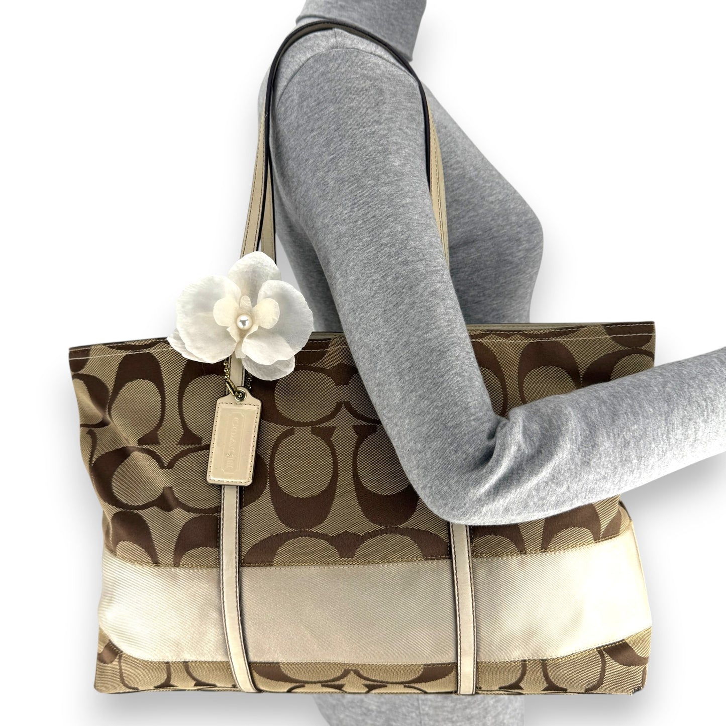 COACH SIGNATURE JACQUARD STRIPE BAG (LARGE) 