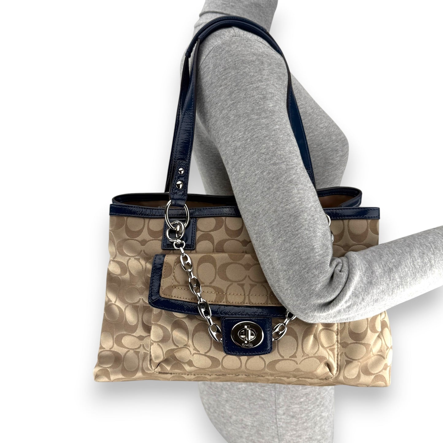 COACH SIGNATURE JACQUARD STRIPE BAG (LARGE) 