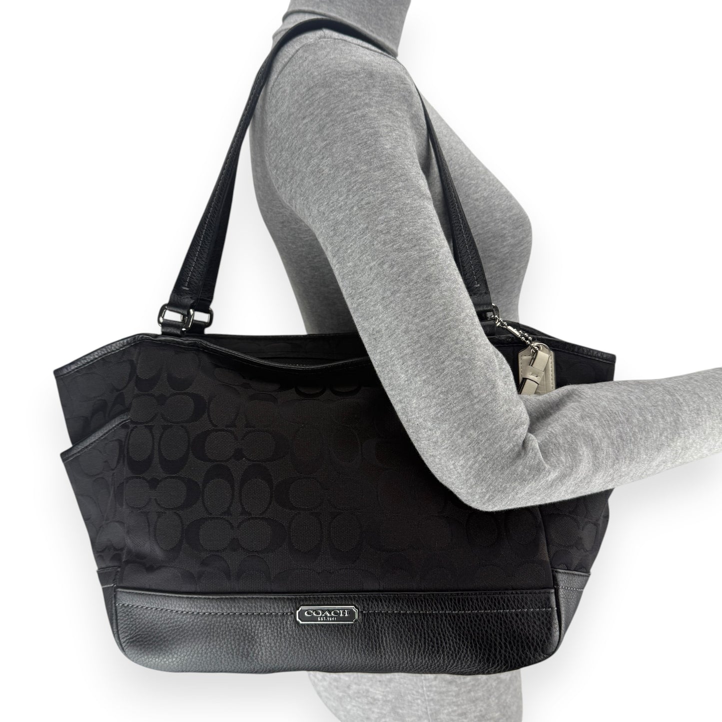 COACH SIGNATURE JACQUARD STRIPE BAG (LARGE) 