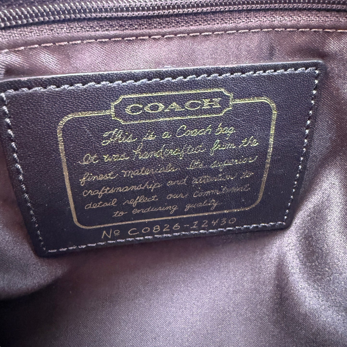 COACH SIGNATURE SATCHEL DARK BROWN STRIPE BAG