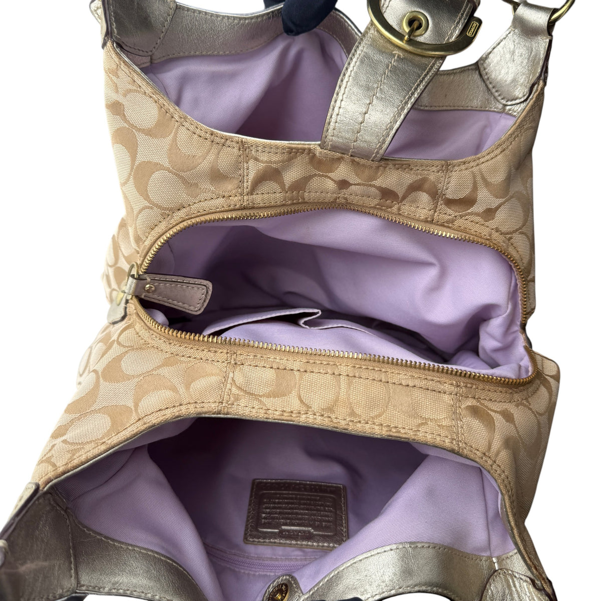 COACH SIGNATURE LYNN SOHO HOBO BAG LARGE