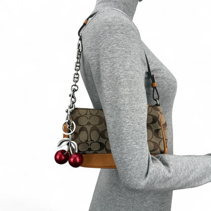 COACH SIGNATURE DEMI POUCH