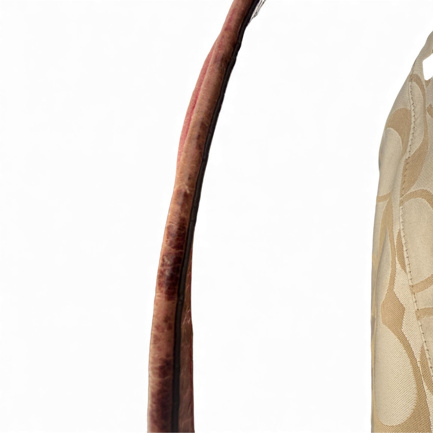 COACH SIGNATURE POPPY GROOVY 2WAY BAG