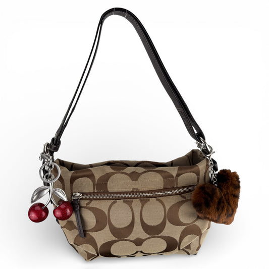 COACH SIGNATURE CANVAS BAG